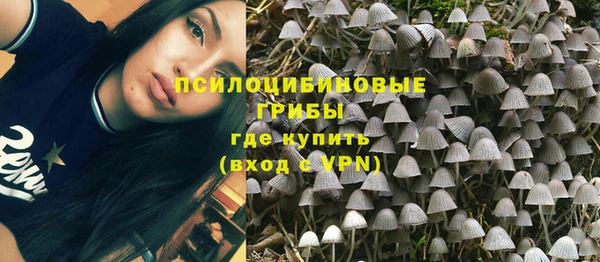 трава Белоозёрский
