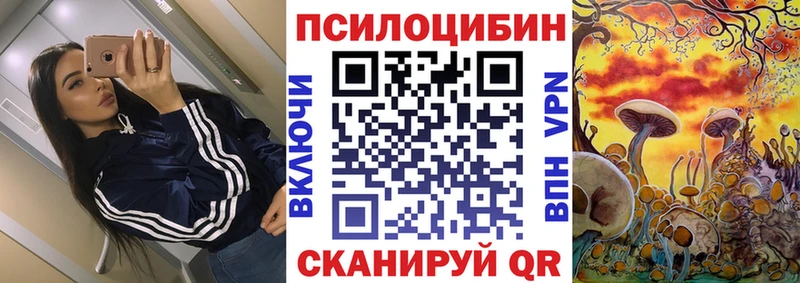 blacksprut   купить наркотики цена  Нариманов  Псилоцибиновые грибы Cubensis 